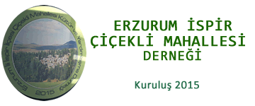 Erzurum spir iekli Mahallesi Dernei